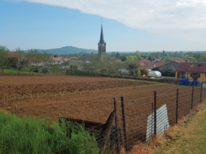 un jardin potager d'un habitant d'un village